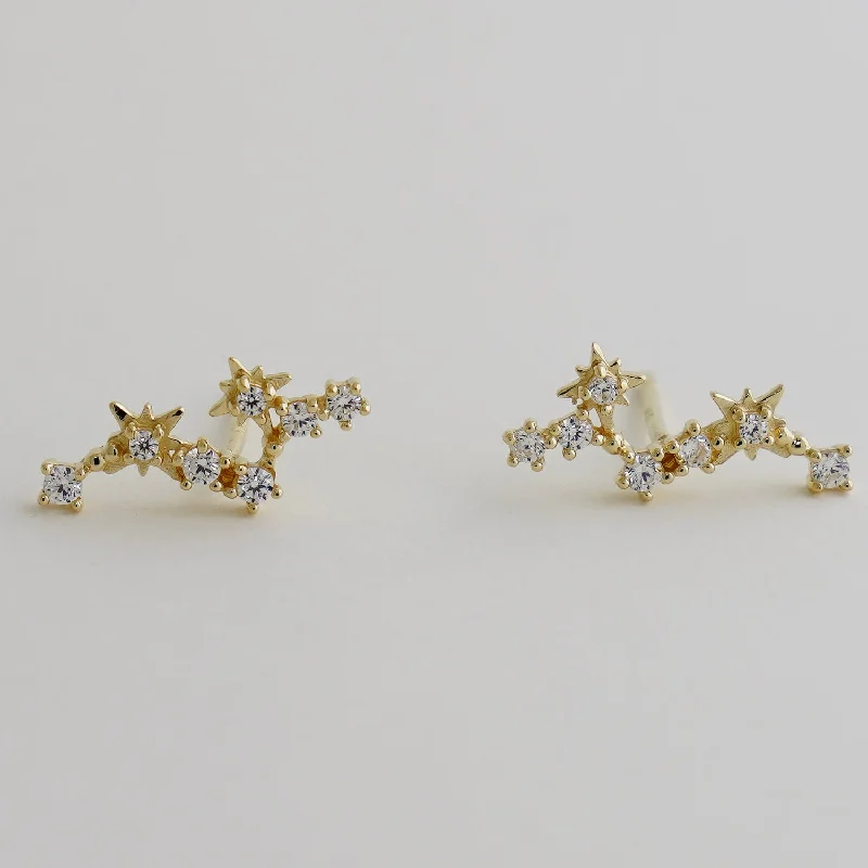 women's earrings luxury statement -Star Climber Stud Earrings