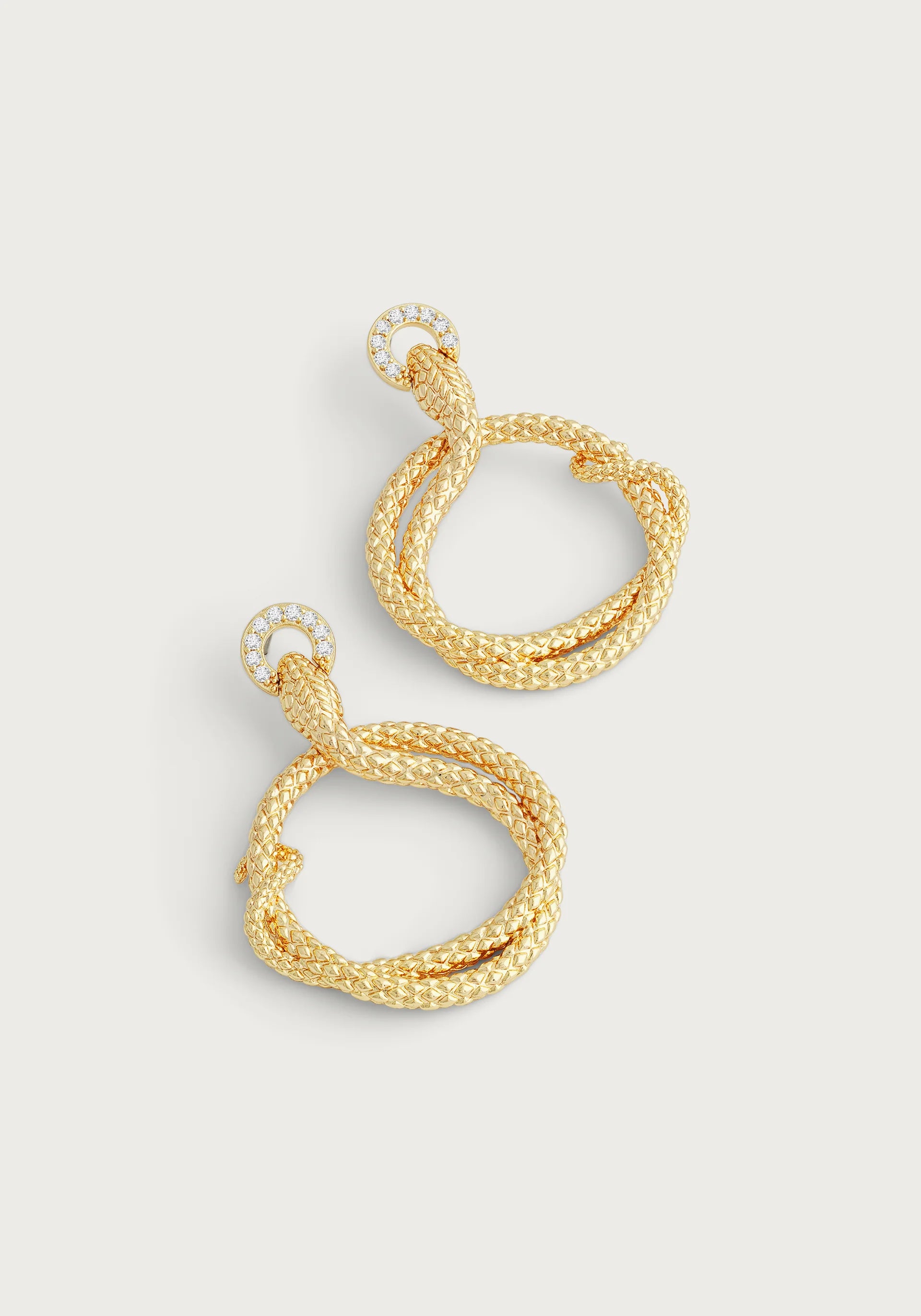 women's earrings premium quality -Serpent Holding Ring Hoop Earrings