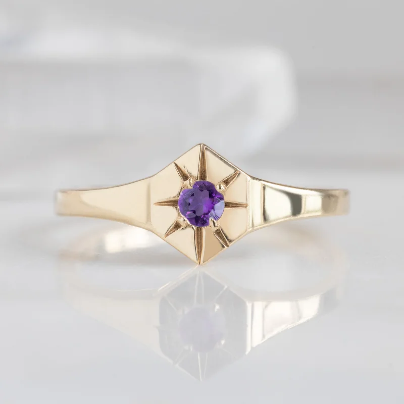 women's rings nature inspired -Custom Amethyst Birthstone Signet Ring | 10K Yellow Gold