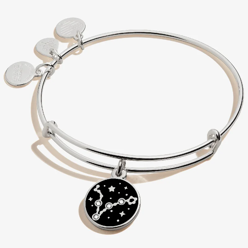 women's bracelets casual yet chic -Pisces Zodiac Charm Bangle