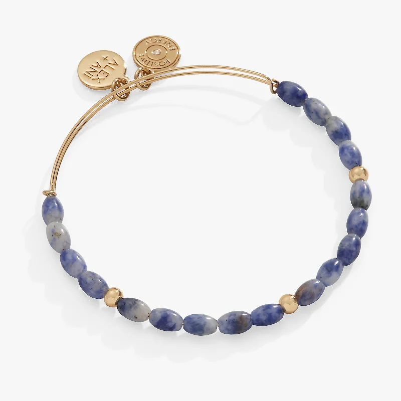 women's bracelets boho style -Sodalite Beaded Bangle