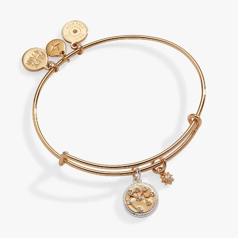 women's bracelets unique design -Sagittarius Zodiac Charm Bangle