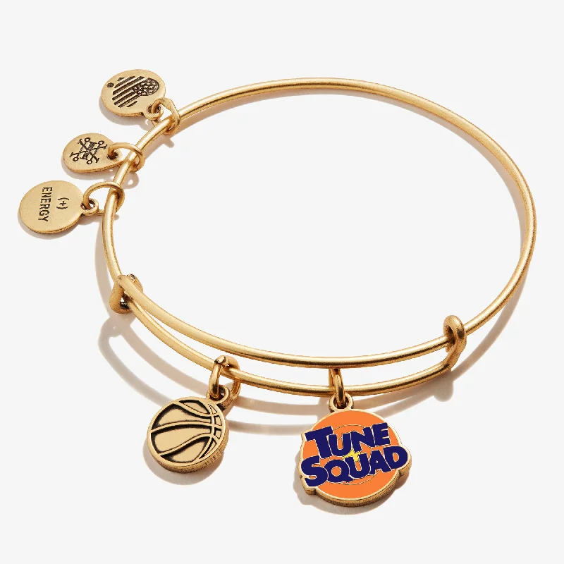 women's bracelets adjustable clasp -Space Jam 'Tune Squad' Duo Charm Bangle