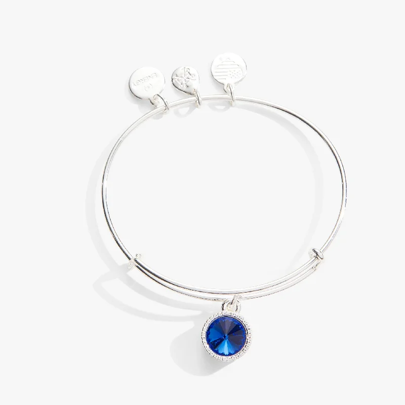 women's bracelets bold statement -September Birthstone Charm Bangle, Sapphire