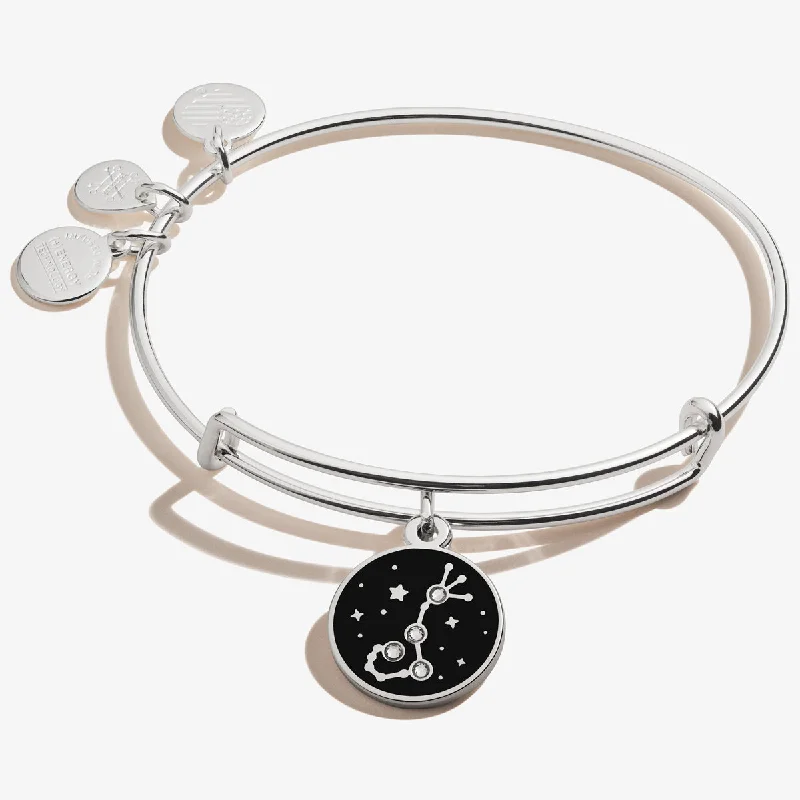 women's bracelets butterfly design -Scorpio Zodiac Charm Bangle