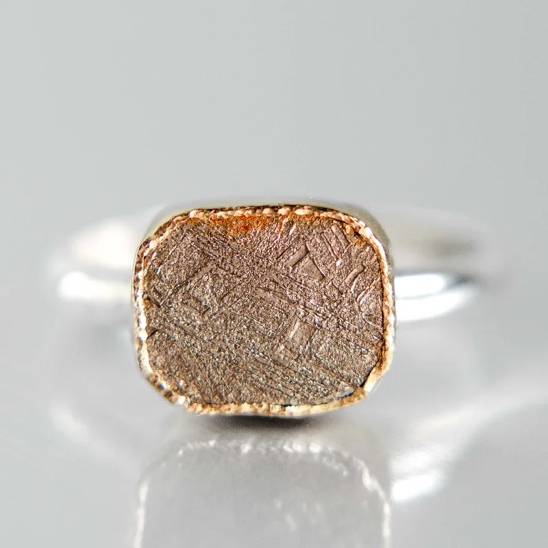 women's rings with hidden halo -Aurora Meteorite Ring No. 1